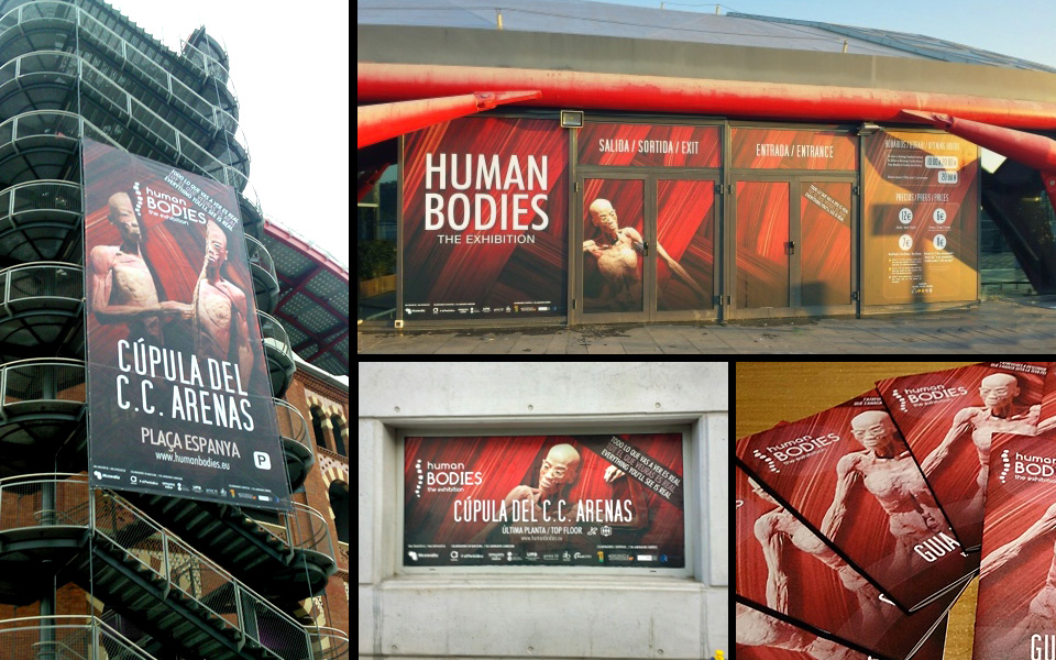 Human Bodies 